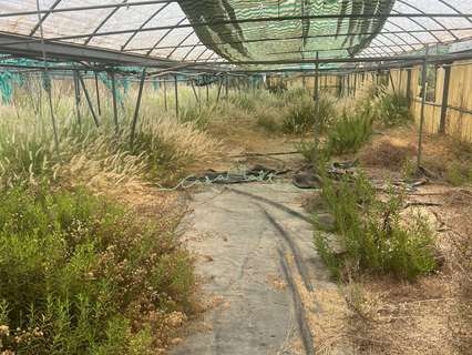 Parcela rústica en venta en La Nucía