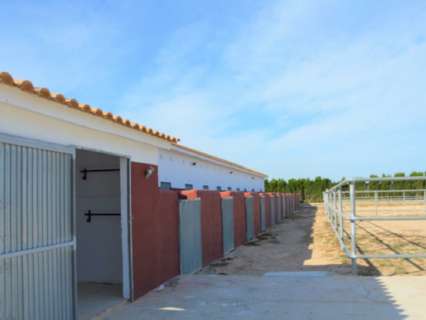 Parcela rústica en venta en San Miguel de Salinas zona Inland