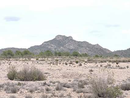 Parcela rústica en venta en Salinas zona Inland