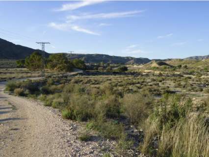 Parcela rústica en venta en Abanilla zona Inland