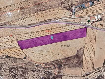 Parcela rústica en venta en El Pinós/Pinoso