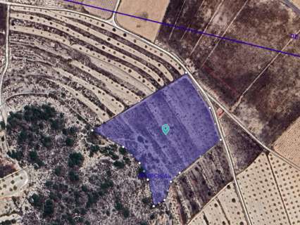 Parcela rústica en venta en Abanilla zona Inland