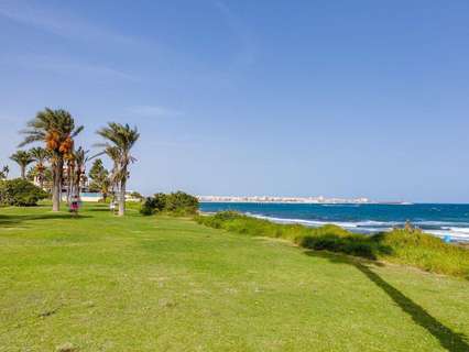 Apartamento en venta en Torrevieja zona La Veleta