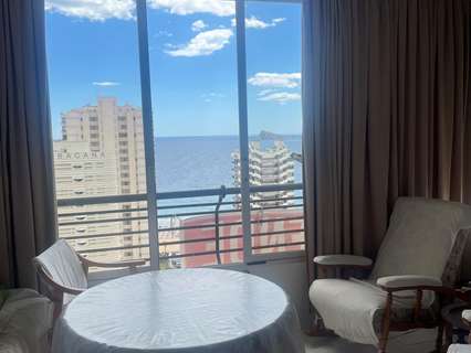 Estudio en venta en Benidorm