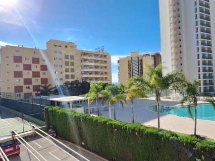 Estudio en venta en Benidorm rebajado