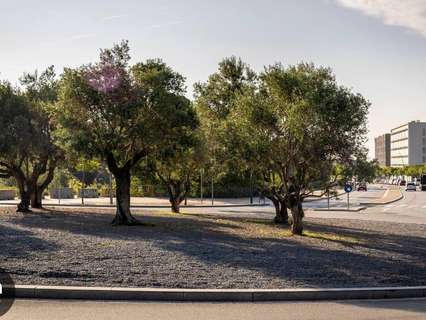 Parcela rústica en venta en Terrassa