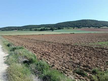 Parcela rústica en venta en Ibeas de Juarros