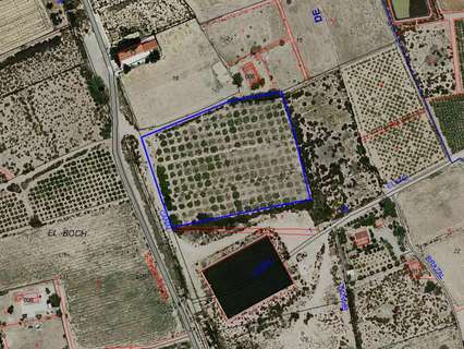 Parcela rústica en venta en Crevillent rebajada