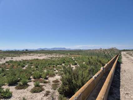 Parcela rústica en venta en Elche/Elx zona La Hoya