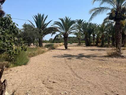 Parcela rústica en venta en Elche/Elx zona Matola